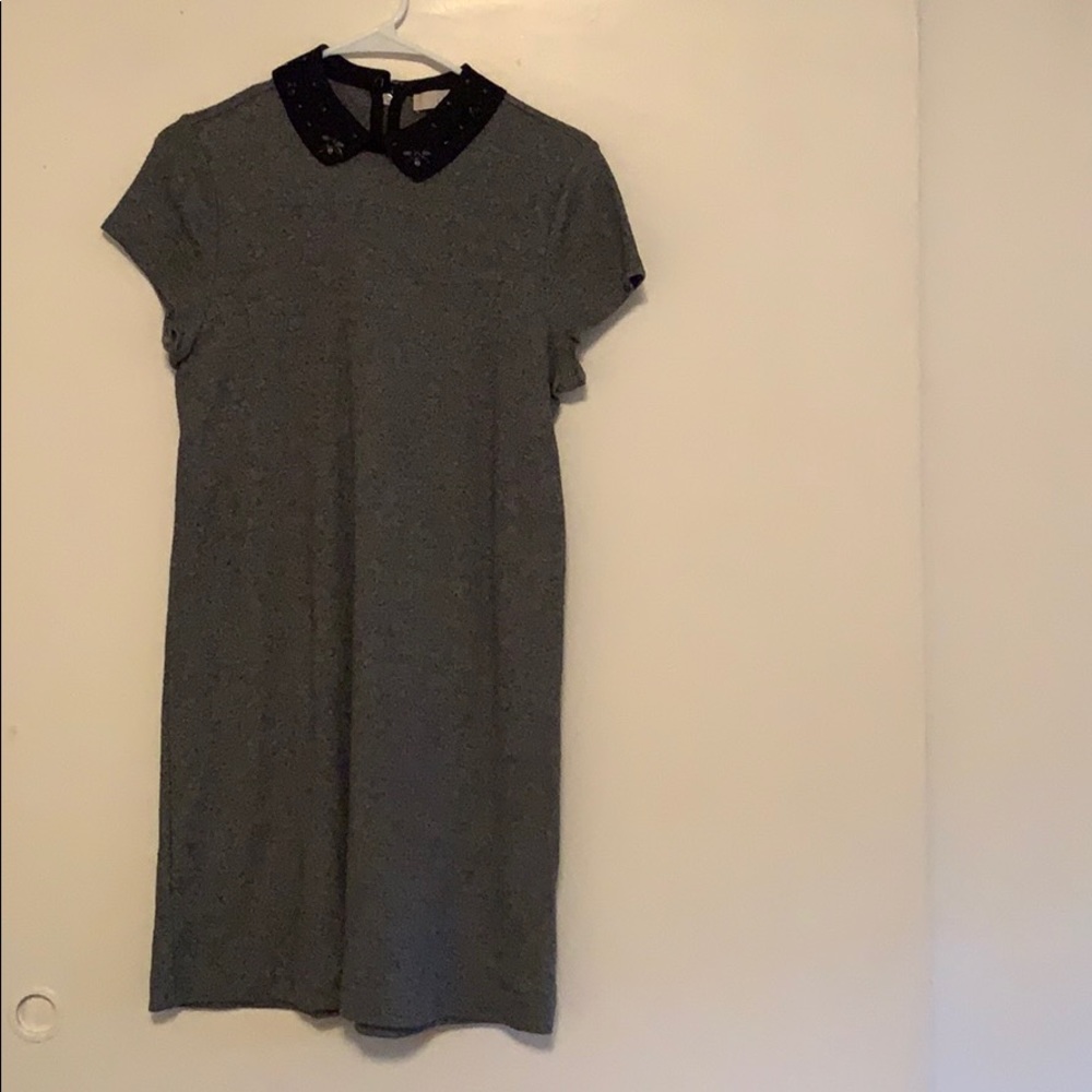 Loft dress with appliqué collar